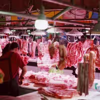 Slaughterhouses