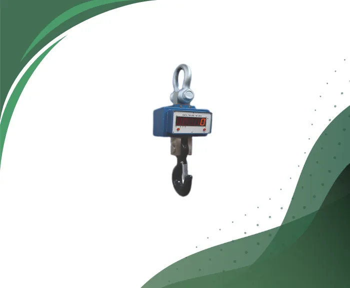 20t30t-crane-scale-axpert